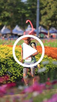 BIB:  <button type="button" onclick="openModal(27588669)" class="btn btn-primary btn-sm float-right" data-toggle="modal" data-target=".modal-high-quality">
                <i class="fa fa-download"></i> Download
                </button>